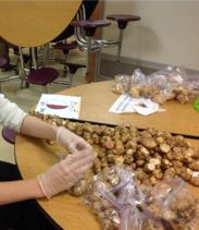 Counting sunchokes at our school's CSA
